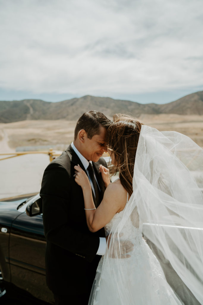 Newlyweds embrace each other in front of the desert 