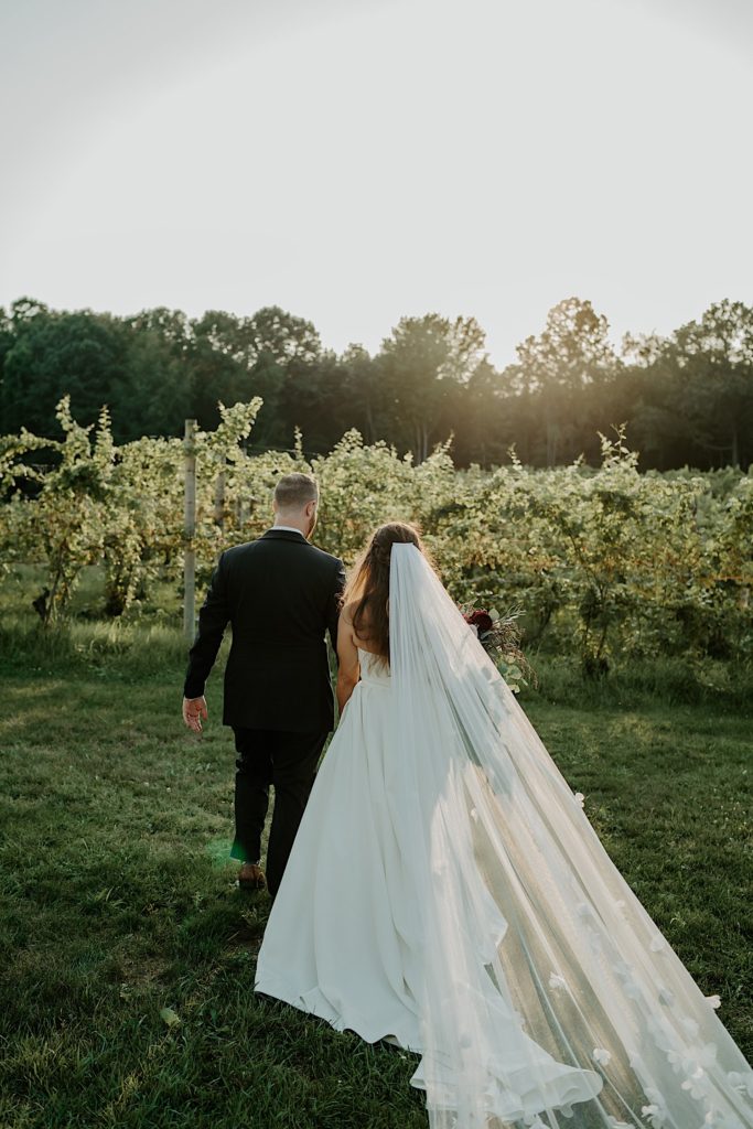 Bride and groom hold hands and walk towards a vineyard as the sun sets