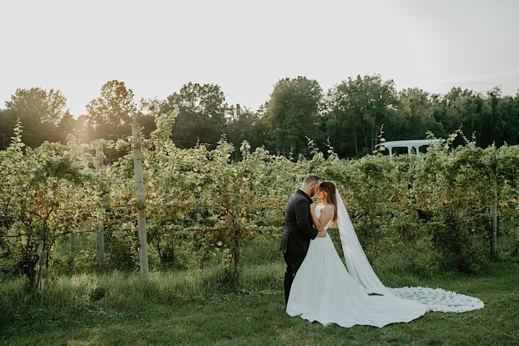 Bride and groom embrace while the sunset lights their faces as they stand in front of a vineyard