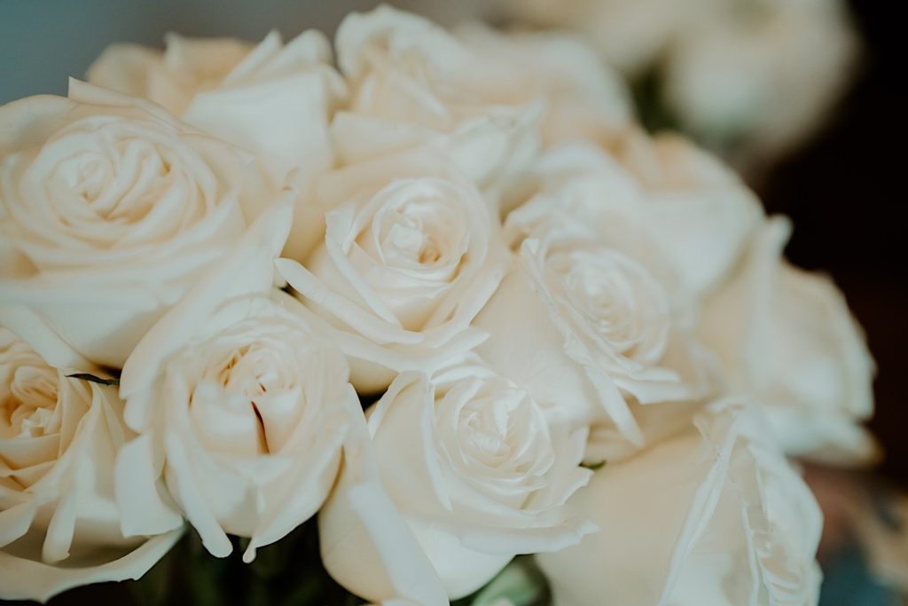 Close up photograph of white roses in a bouquet.