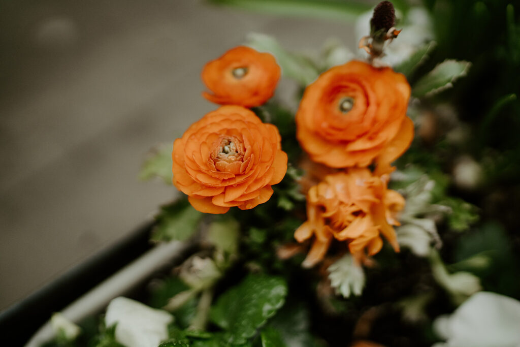 Orange flowers from the LGBTQ couples Chicago wedding day.