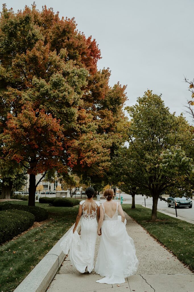 Brides walk down the sidewalk with their backs facing the camera. 