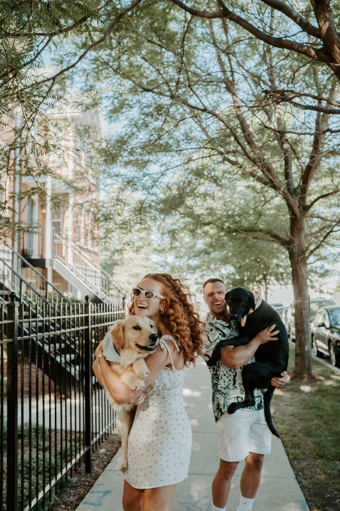 Woman holds her golden retriever in her arms and laughs at the camera with her fiancé behind her holding their chocolate lab as they make their way through a tree covered sidewalk in Chicago. 