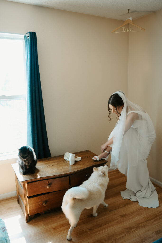 bride in dress getting ready with dog and car